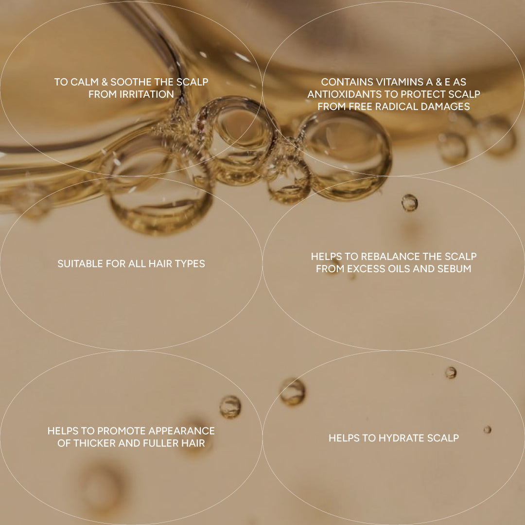 MORE IS MORE Scalp Oil